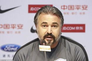 亚森个人资料,传奇侦探的神秘人生与不朽传奇